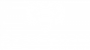Sz Design Logo Big White Trans